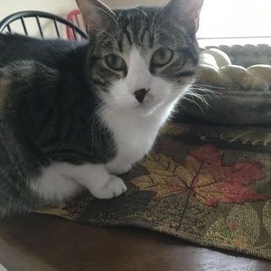 Meet your Posher, Patricia